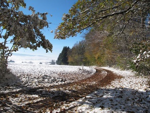 chemin_hivernal_300